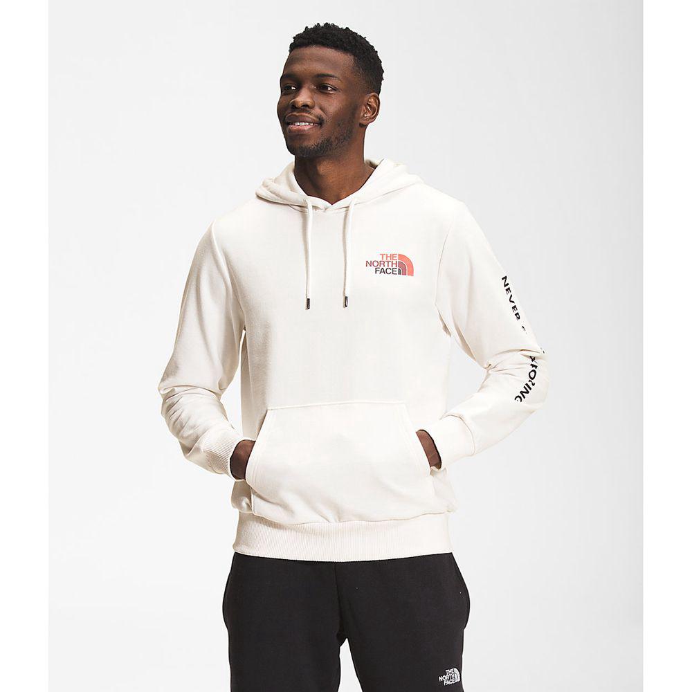 The North Face Logo Play Ανδρικα Φούτερ Hoodie - Ασπρα (JGUZ48052)